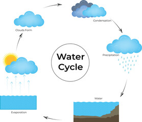 The Water Cycle Diagram An Educational Illustration