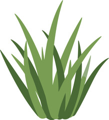 Obraz premium Vector Illustration of Green Grass Clump Isolated on White for Landscaping and Nature Design
