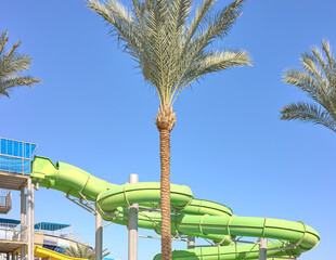 An outdoor water park with palm trees and blue sky, Egypt.