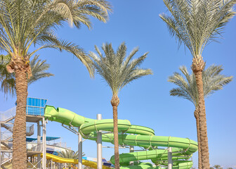 An outdoor water park with palm trees and blue sky, Egypt.