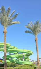 An outdoor water park with palm trees and blue sky, Egypt.