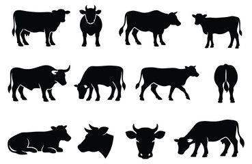 Collection of black cow silhouettes in various poses and views cattle white