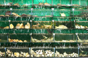 Naklejka premium Street food, seafood, Asian food, fresh and natural