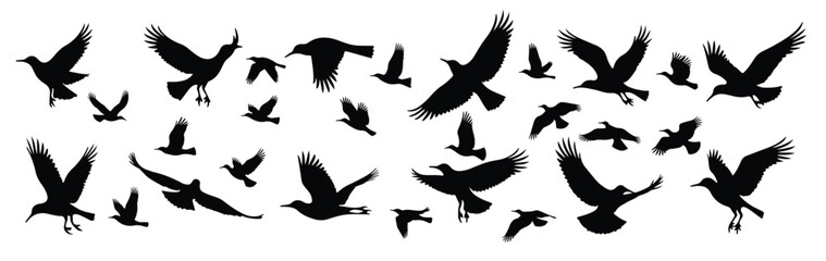 Obraz premium Collection of black bird silhouettes in flight flying