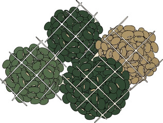 伝統的な網で収穫された日本の青大豆と枝豆、編み籠に入った新鮮な野菜、有機農産物のイラスト、ベクターアート