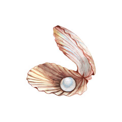 Watercolor Pearl in Open Seashell