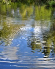 Gentle Ripples on Water Surface Reflecting Nature's Serenity and Calmness