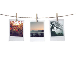 Three pictures hanging on a line, one of which is a tree
