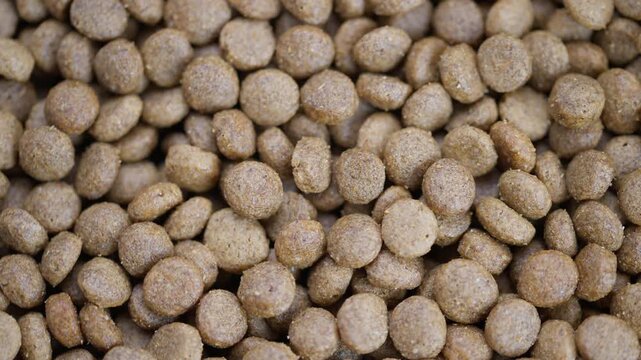Details on creating dry kibble for dogs and nutrition factors, Comprehensive summary of manufacturing process and nutritional considerations for canine dry food
