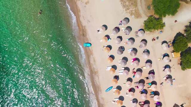 Vertical Drone Shot Transitions to Rising View Over Prinos Beach, Thasos, Greece, Showcasing Lush Coastal Forest and Turquoise Thracian Sea