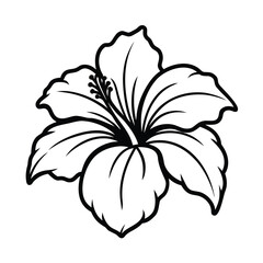 hibiscus © misttahmina