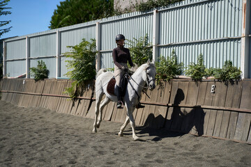 Person riding white horse outdoors at equestrian training area