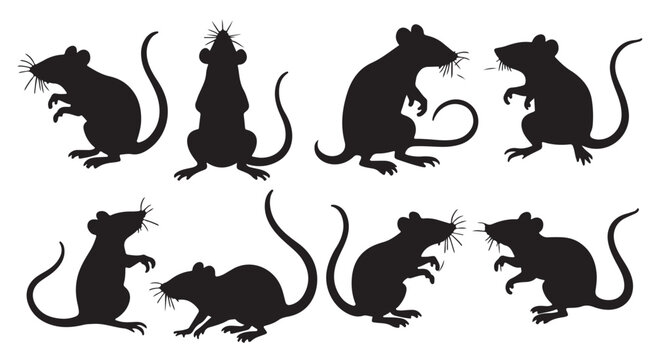 black silhouettes of mice on white background 