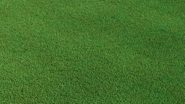 Green grass texture background. A perfectly manicured Sports field / Pitch / Garden Lawn wallpaper.  