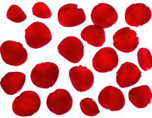 Red petals with soft shadow PNG