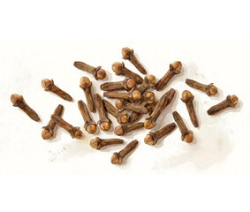 illustration watercolor painting of cloves, a spice and seasoning, isolated white background.