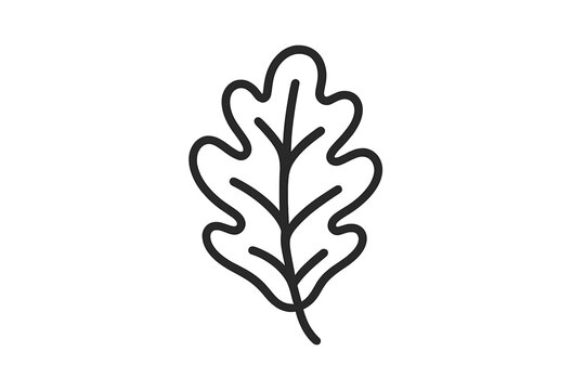 Oak leaf outline with shadow on gray gradient background