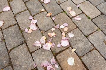 Stunning Wedding Floral Arrangements in Summer, Elegant Romantic Blossoms for a Marriage Ceremony...