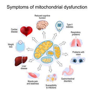 Symptoms of mitochondrial dysfunction
