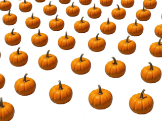 Many small orange pumpkins arranged in rows on a white surface isolated on transparent background