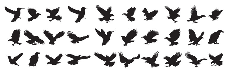 Fototapeta premium eagle silhouette on white background 