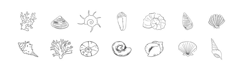  sea shell sketch ocean life hand drawn illustration outline © Wooab