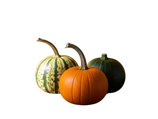 Three pumpkins in orange green and yellow on transparent background