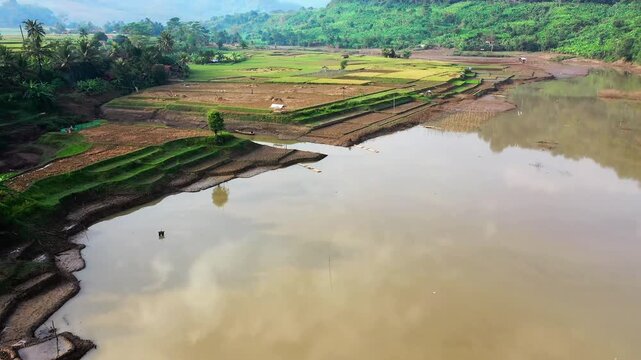 Aerial drone shot of Jatiluwih rice terraces in Tabanan Bali Indonesia showing flooded paddies, layered fields, green hills and calm rural landscape with water reflections.