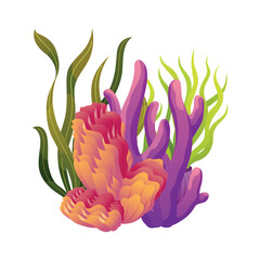 Set of watercolor seaweed and corals isolated on white background. Underwater algae. Aquarium plants collection. Vector marine life. Vector isolated corals and algae. Underwater flora