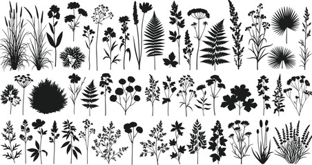 Wildflower and grass silhouette collection, fern and palm leaf set, meadow nature design elements, black botanical vector illustration, cad drawing flat vector illustration. © MDMOHOBBAT