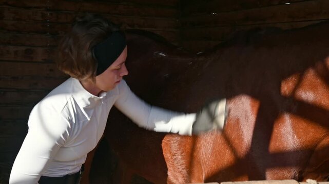 A young Caucasian woman grooms her horse before training, surrounded by a farm stable. Farm horse care. Caring for domestic animals.