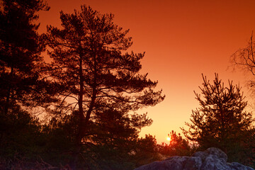 Fototapety na wymiar - Fototapeta24.pl