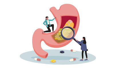 anatomy of the human health kidney.eps