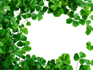 Four-Leaf Clovers Frame 