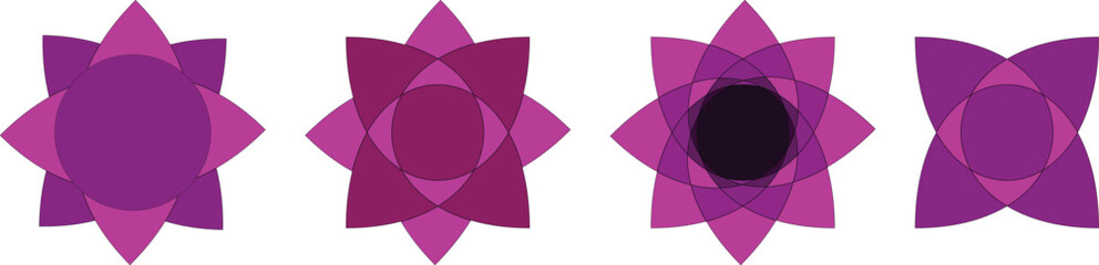 purple flowers set on white