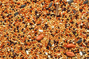 Budgies food background texture. bird cereal seed mixture.