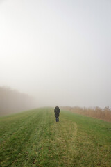 Fototapeta premium Person walking on hiking trail in mist. Foggy cold winter weather in forest.