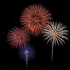 fireworks in the night sky