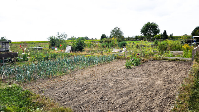 Allotment garden end of season with empty field.Growing plants, bushes and trees, agricultural, ecological, off-grid, self-sufficient, nature and sustainable living.