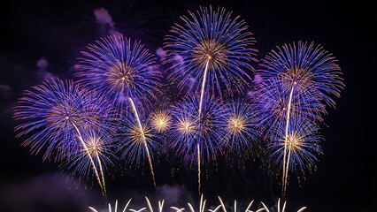 Vibrant night sky illuminated by fireworks