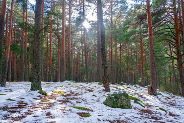 Valle de la Barranca en la Sierra de Guadarrama en Invierno