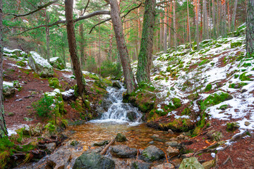 Valle de la Barranca en la Sierra de Guadarrama en Invierno