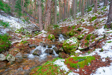 Valle de la Barranca en la Sierra de Guadarrama en Invierno