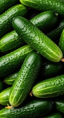 Ripe, crisp green cucumbers harvested during the peak summer months, arranged artfully to showcase natural garden freshness and healthy food, closeup, fresh, gardening