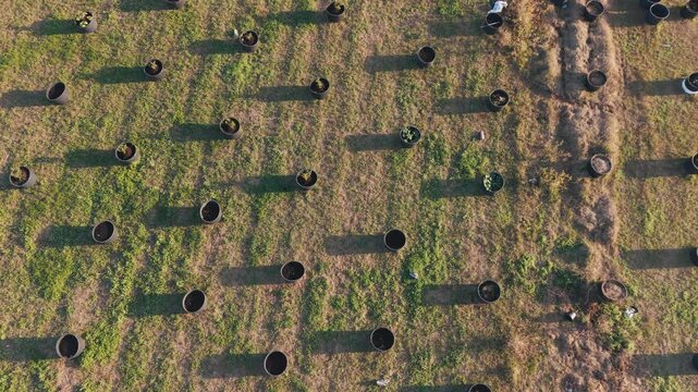 A field of empty plastic containers with holes in the bottom. The containers are arranged in rows and are all the same size