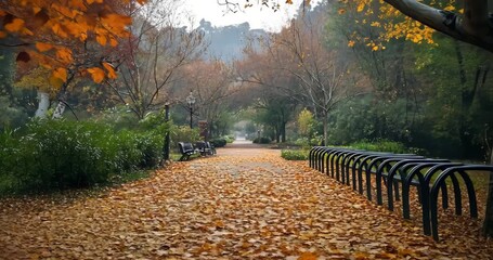 A wide angle static shot of a park in autumn, with fallen leaves covering the pathway and benches.