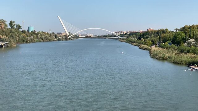 Long view down the Guadalquivir shows rowers training as Barqueta and Alamillo bridges frame the distant skyline