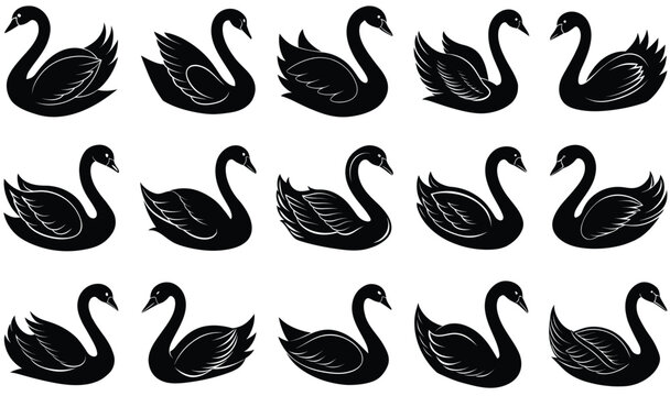 Swon Vector Illustration - Premium Digital Graphic Art for Creative Projects