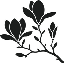 Blooming magnolia branch silhouette vector with buds and leaves © MdImran