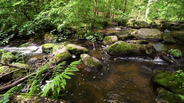 Filmmaterial des  H&ouml;llbach im Naturschutzgebiet H&ouml;llbachtal bei dem Rundwanderweg in Rettenbach bei Falkenstein in Bayern, Deutschland